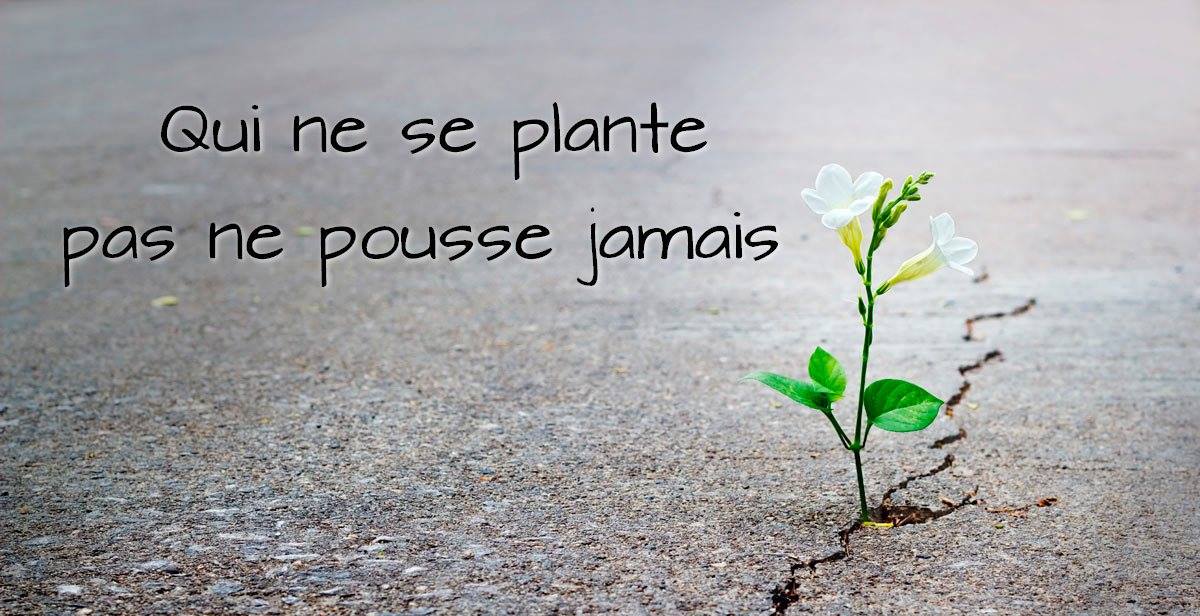 Pasteur Isabelle Maurel Se planter pour pousser