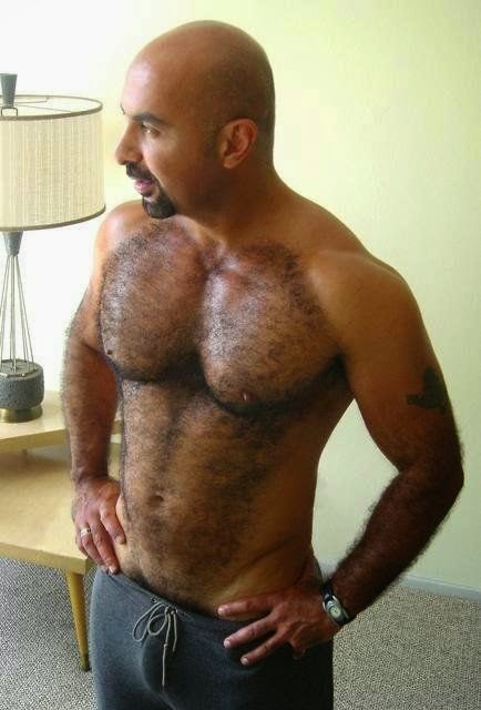 swinging gay cocks gay community images