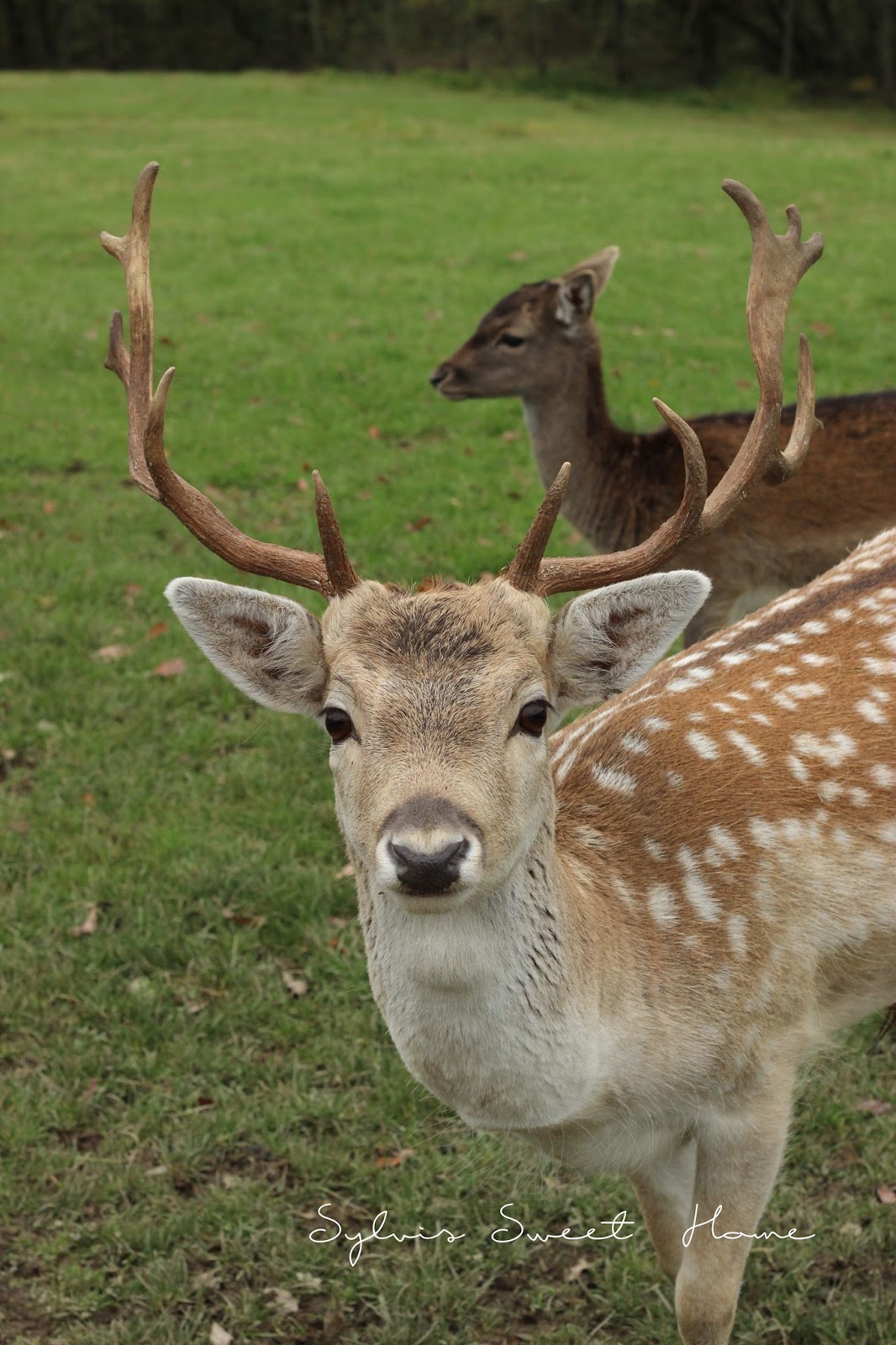 Hotel Traube Tonbach Im Schwarzwald Unterwegs In Baiersbronn