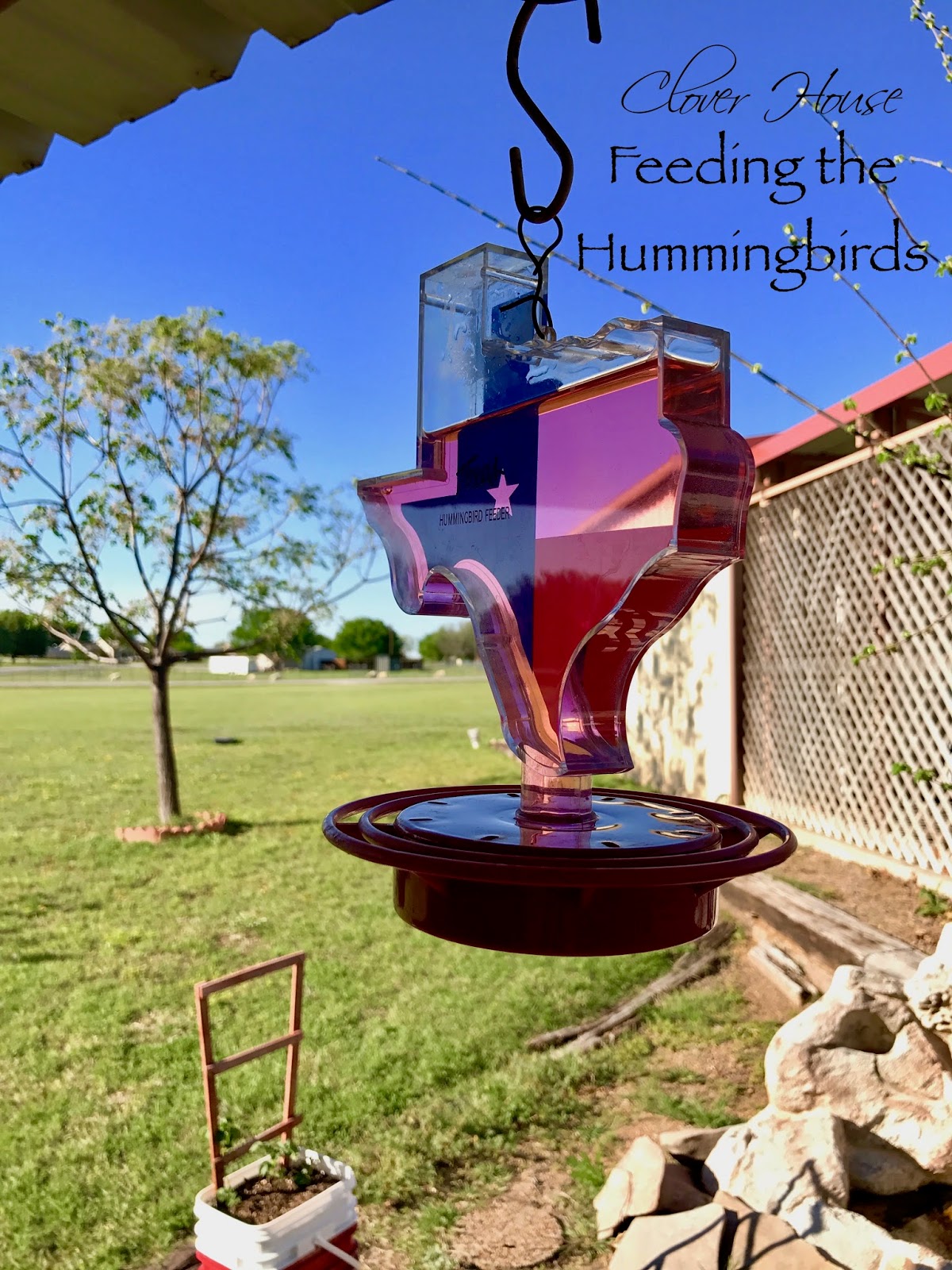 Clover House Make Your Own Hummingbird Nectar