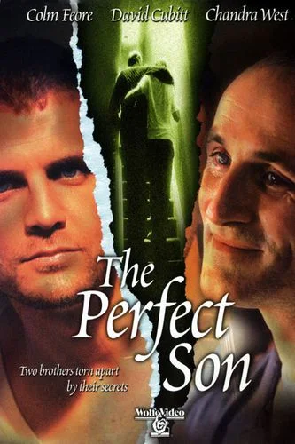 POSTER: El Hijo Perfecto - The Perfect Son - PELICULA - 2000 CARTEL: El Hijo Perfecto - The Perfect Son - PELICULA - 2000