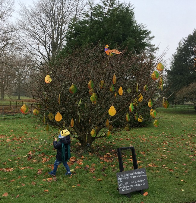 12-days-of-christmas-at-dyffryn-gardens-a-toddler-explores-partridge-in-a-pear-tree