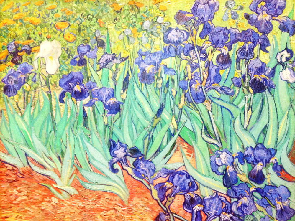 Van Gogh's Irises at the Getty Museum, LA - Los Angeles, California - travel blog