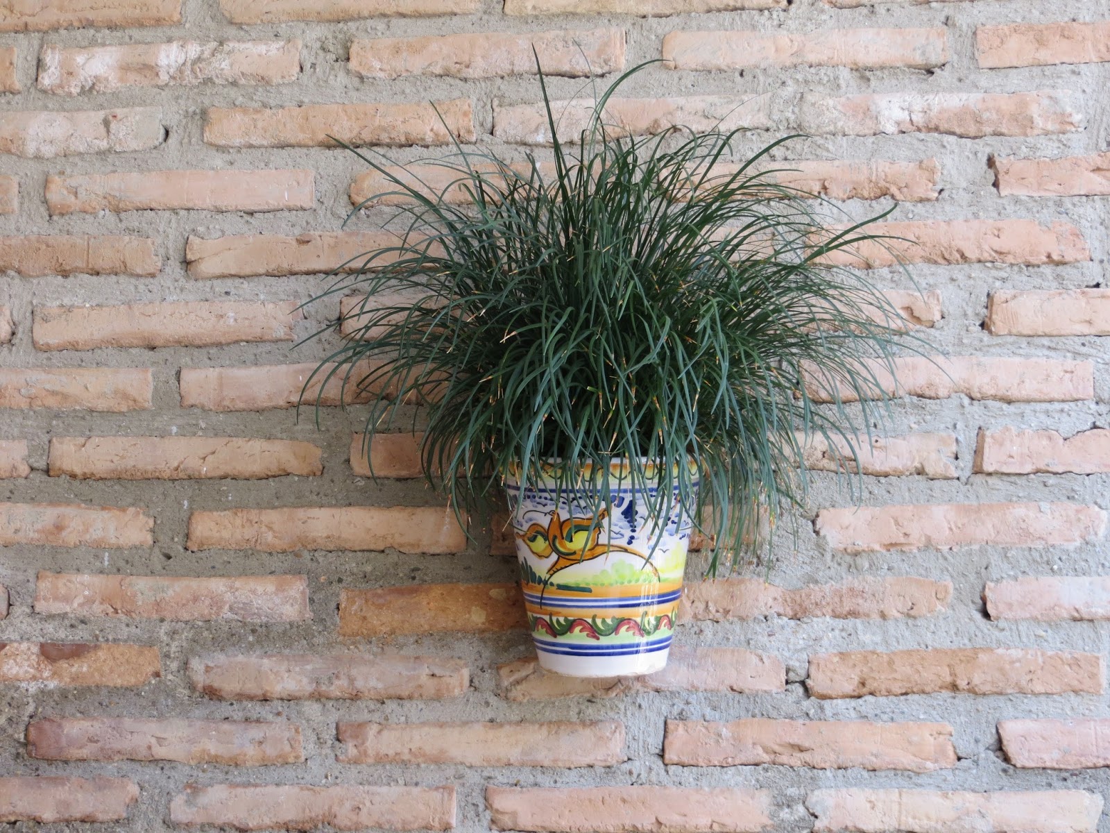 CPR.BEMBEZAR: LOS PATIOS DE CÉSPEDES