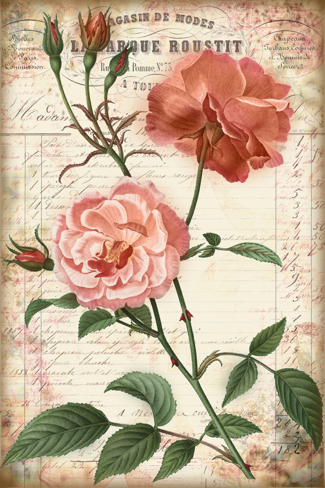 roses-and-ephemera3-jpg-1067-1600-vintage-labels-printables-free