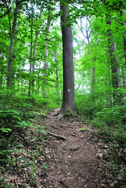 ridley creek state park bike trail