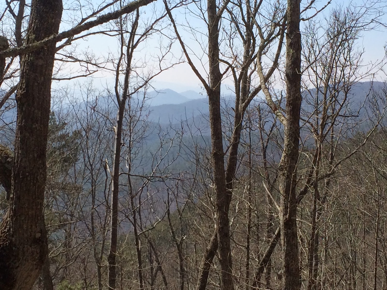 among nature Dugger Mountain Tract, Alabama Pinhoti National Recreation Trail