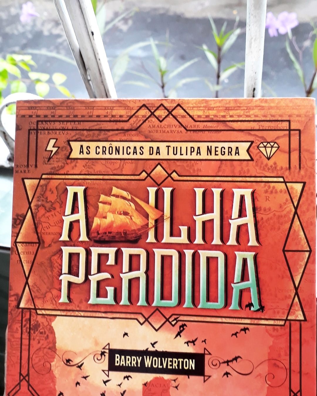 As Cronicas Do Tulipa Negra A Ilha Perdida