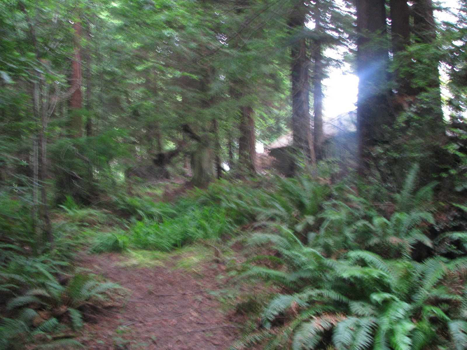 Stop the Republican Recall Newsom is Doing a Great Job Statue at St