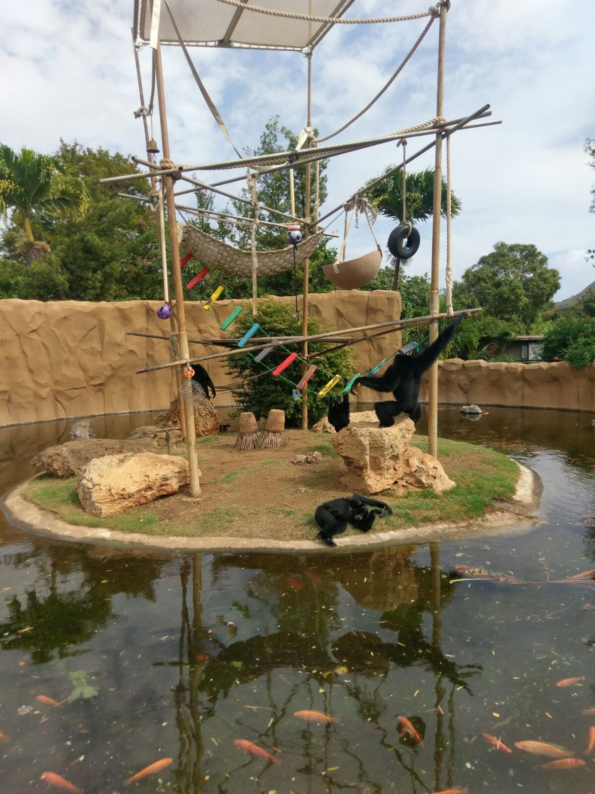 Wieder Zuruck Aus Dem Schwarzwald Stadtlandjob