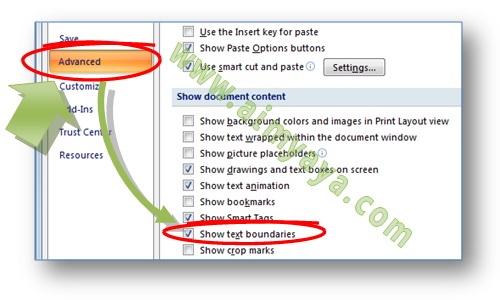 Gambar: cara mengatur setting word options untuk mengatur tampilan text boundaries di microsoft word 2007
