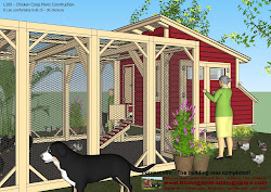 coop chicken plans build l100 construction