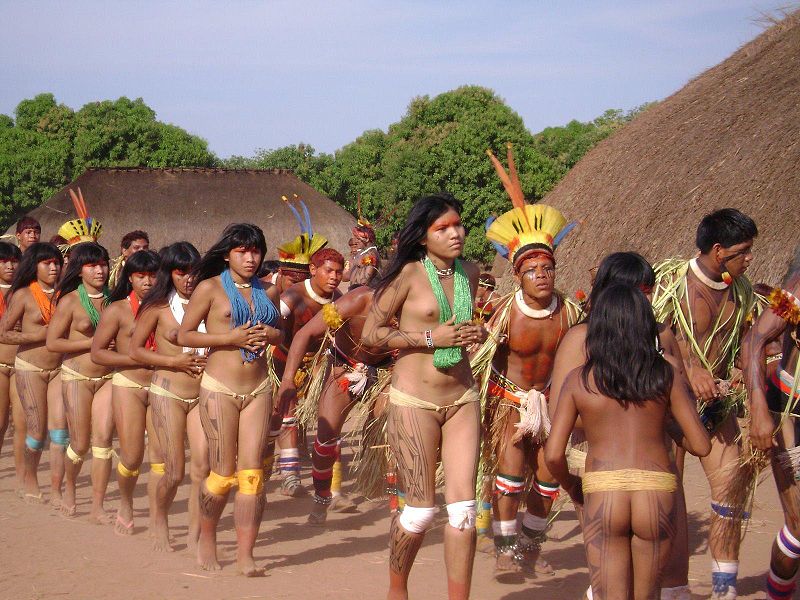 The Indigenous Park of the Xingu can be divided in three segments: the Lowe...