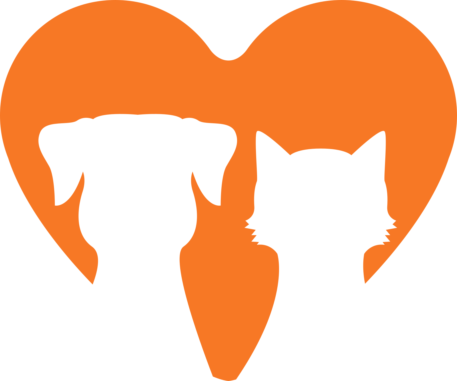 The Cuddlywumps Cat Chronicles: Test Your Cat Knowledge, Plus Friendly