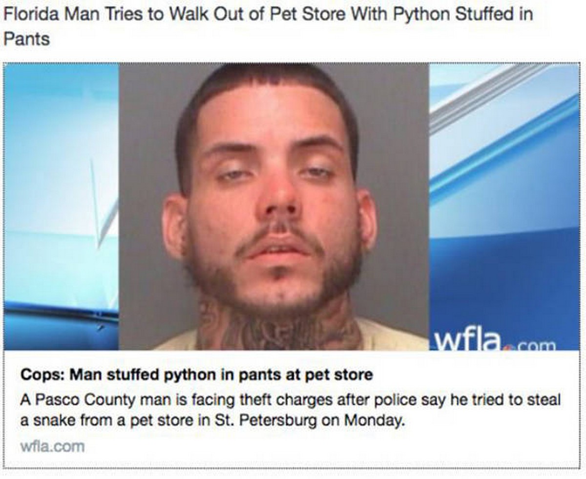 Жеребенок зебры. Florida man news. Try walking in my shoes картинки. Try walking in my shoes картинки. Try walking in shoes.