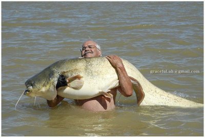 funny huge fish