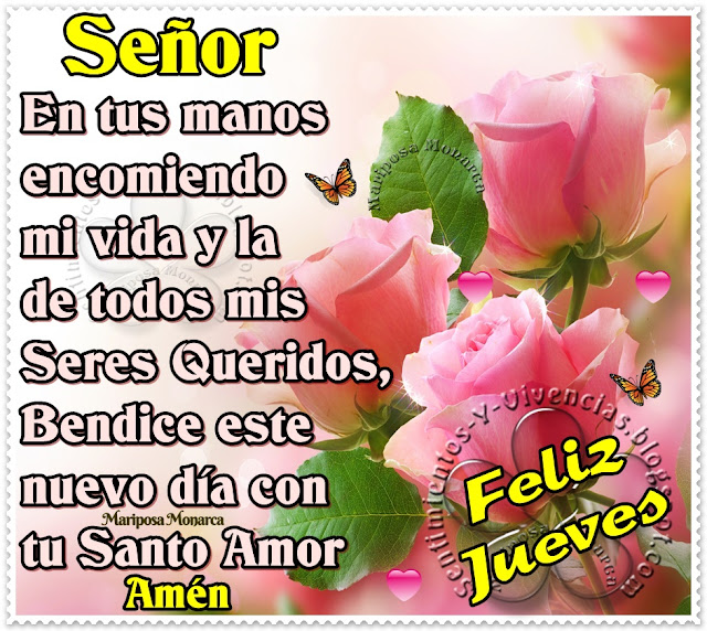 Sentimientos Y Vivencias: Señor, Bendice este nuevo día con tu Santo Amor