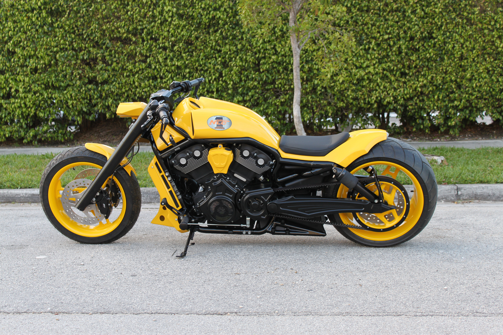 no limit custom v rod