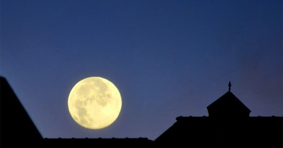 Di Di O Di Come Si Scrive Scuolissima Com