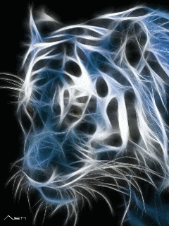Download 8000 Wallpaper Bergerak Gif Untuk Hp HD Terbaik Download 8000 Wallpaper Bergerak Gif Untuk Hp HD Terbaik