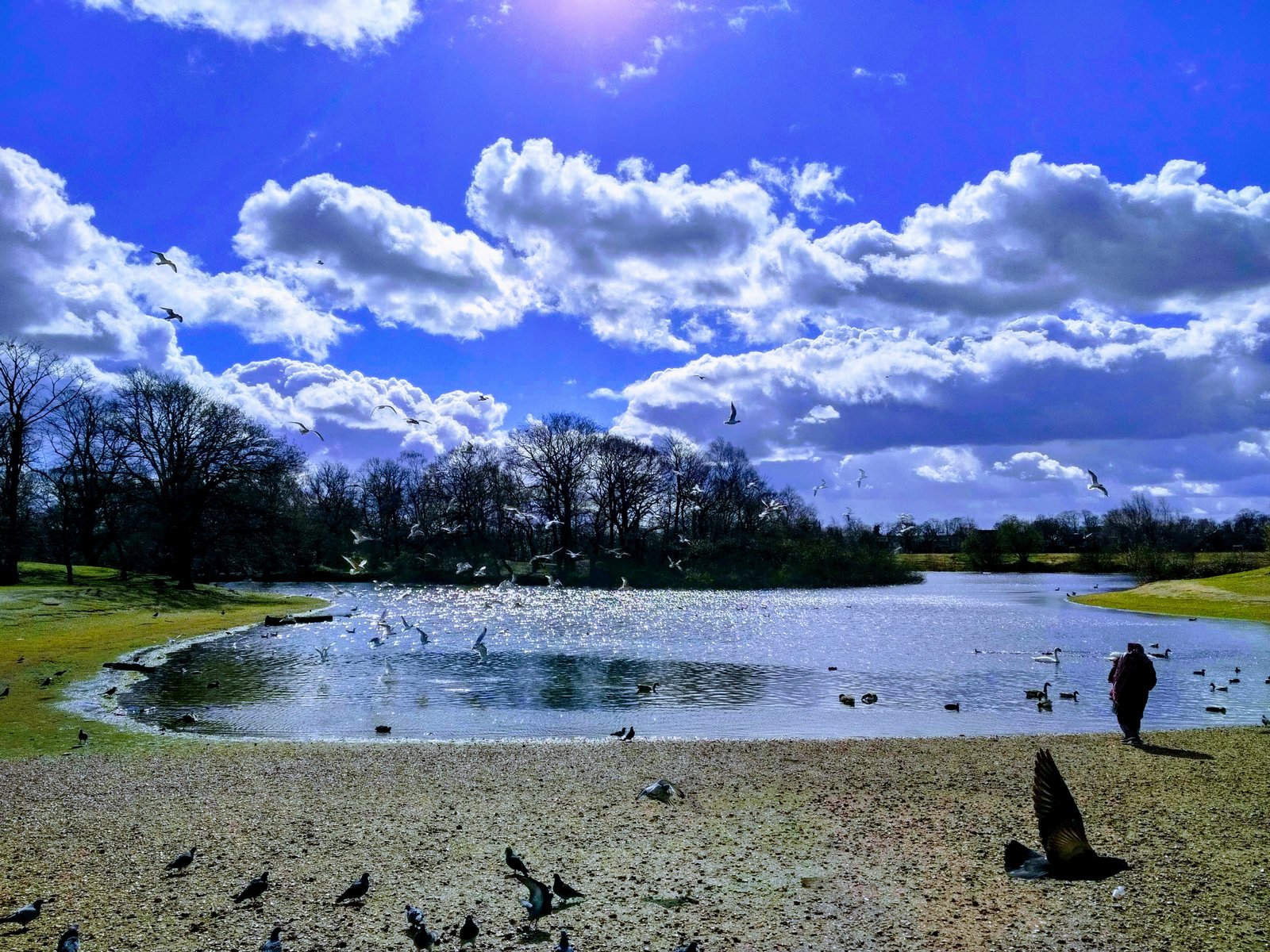 John's Labour blog Alexandra Lake Wanstead Flats