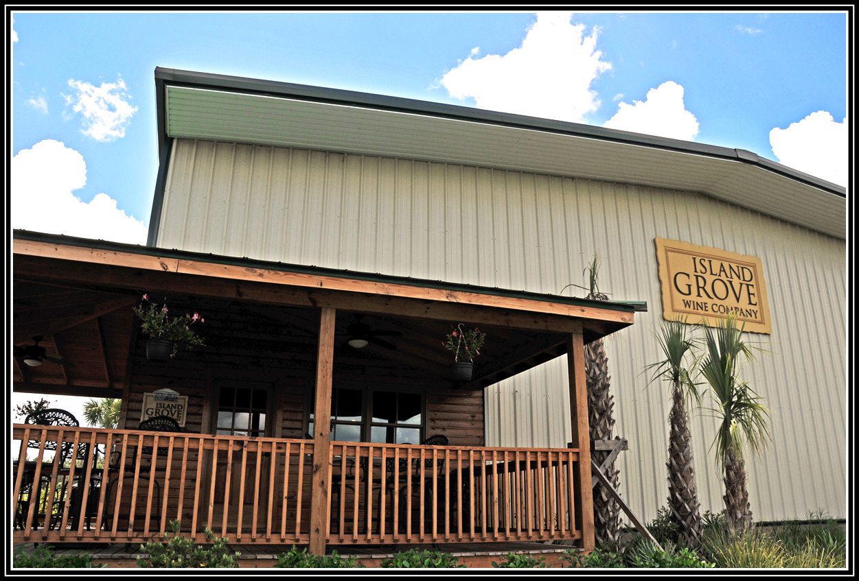 Ocala, Central Florida & Beyond Island Grove Winery