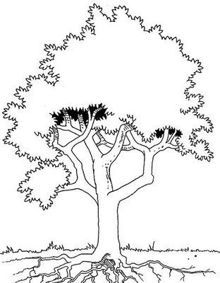 desenho de arvore para colorir
