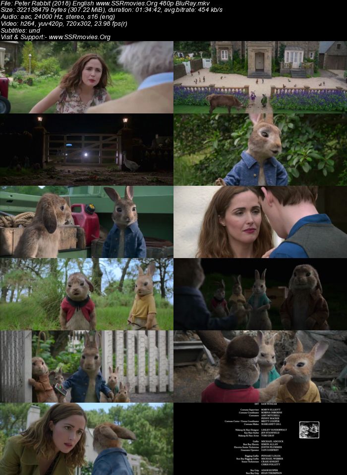 Peter Rabbit (2018) English 480p BluRay 300MB