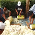 Cara Unik dan Mudah Membuat Pakan Ternak dengan Menggunakan Gedebog Pisang / Batang Pisang Cara Unik dan Mudah Membuat Pakan Ternak dengan Menggunakan Gedebog Pisang / Batang Pisang