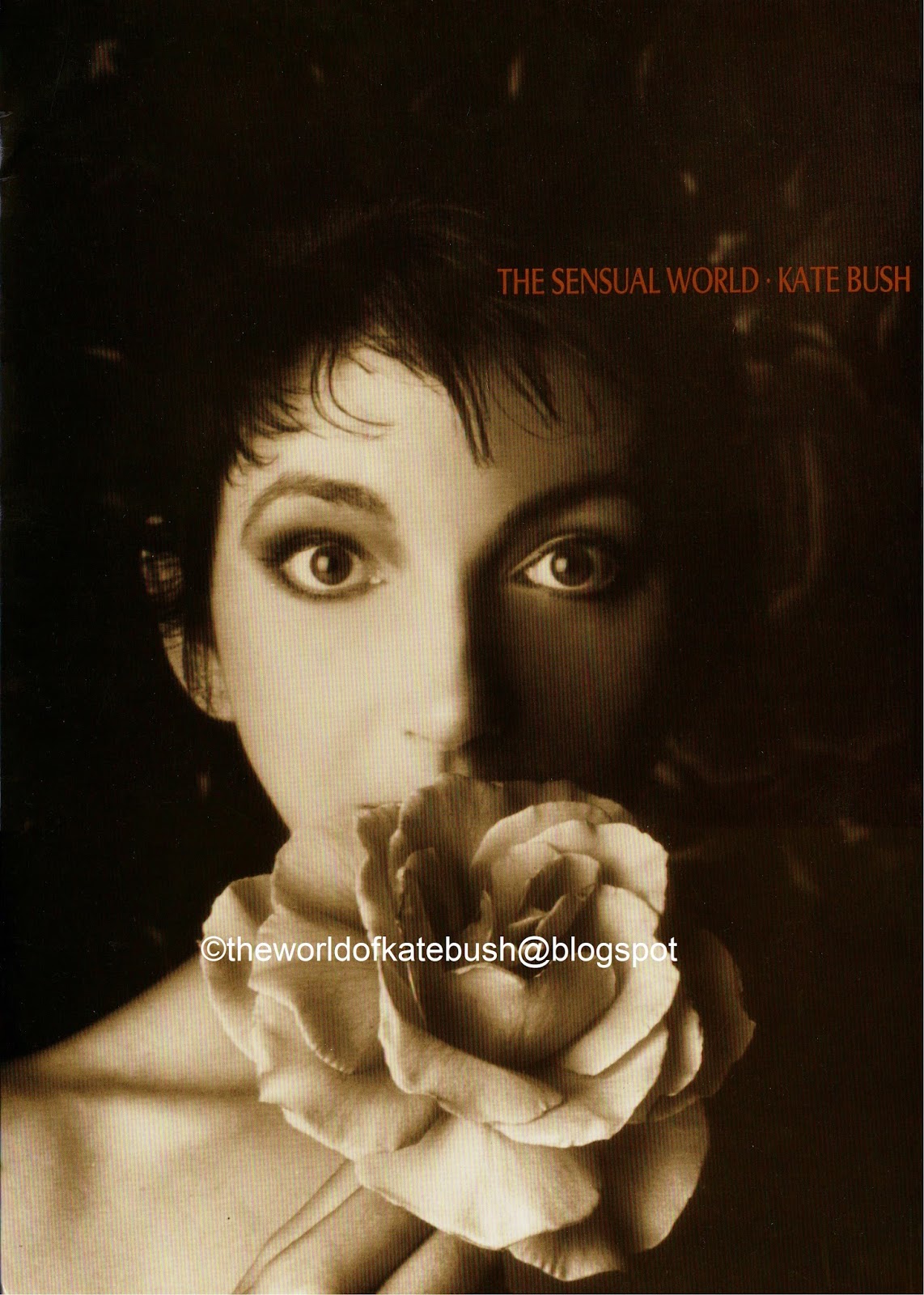 THE WORLD OF KATE BUSH The Sensual World Canada Press Kit