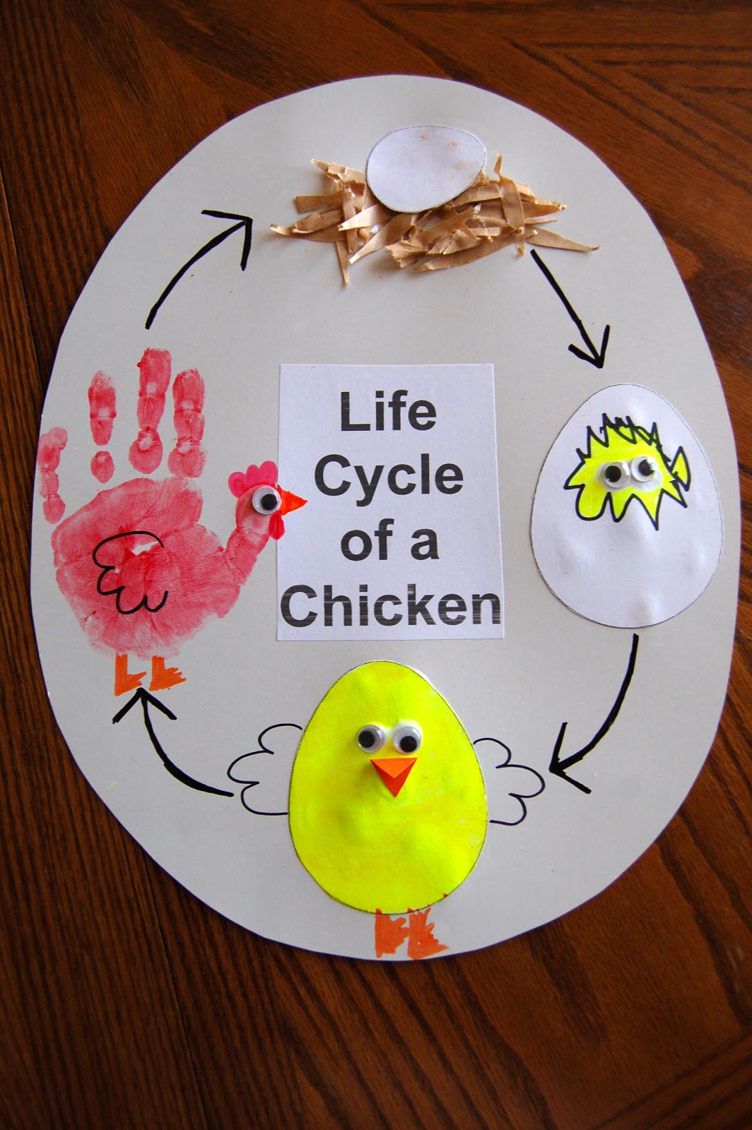 Life Cycle Preschool Activities