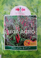 benih, cabai, panah merah, lmga agro, toko pertanian, toko online, toko benih benih cabai, cabai rawit, cabai pelita 8, pelita 8, cabai pelita 8 f1, pt east west seed indonesia