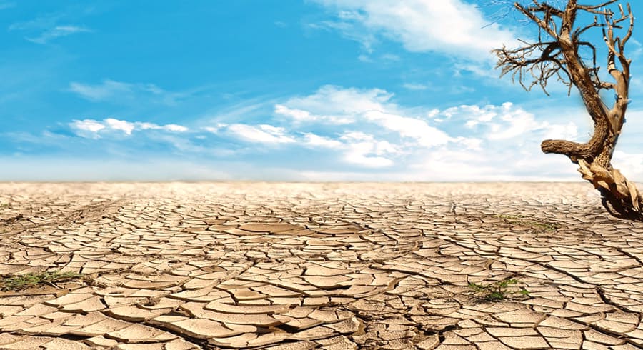 Test: ¿Qué ves primero en el desierto? Test: ¿Qué ves primero en el desierto?