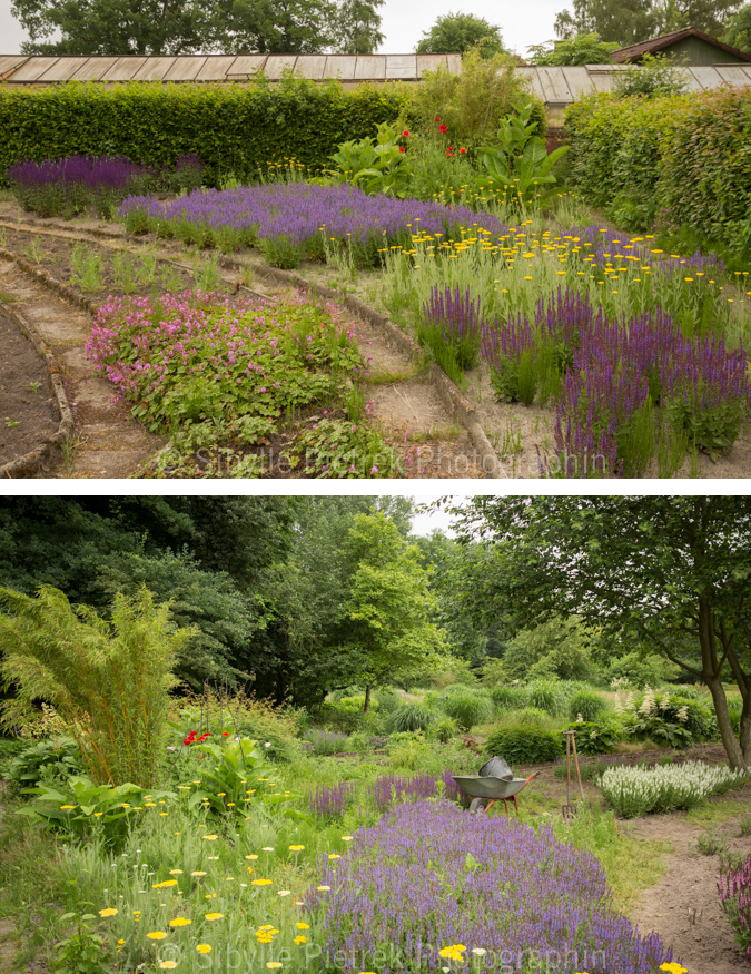 GartenblickGartenfotografie Ernst Pagels Bürgergarten in