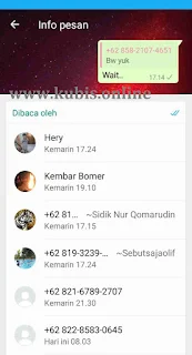 Cara Melihat Anggota Grup WA Yang Sedang Menyimak Atau Silent Reader Terbaru