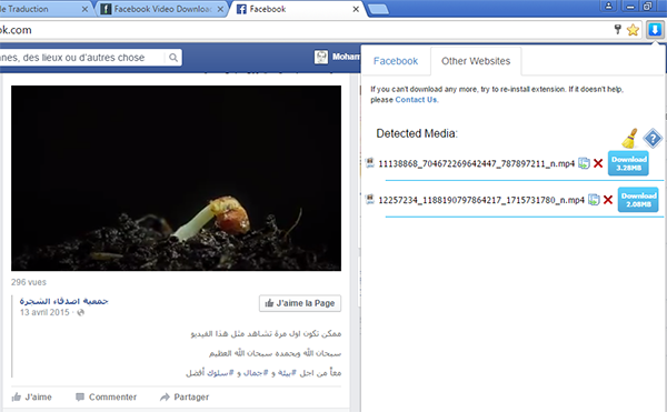 facebook video downloader extension facebook video downloader extension
