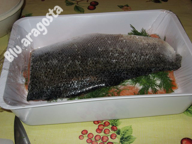 come preparare salmone marinato svedese gravad lax