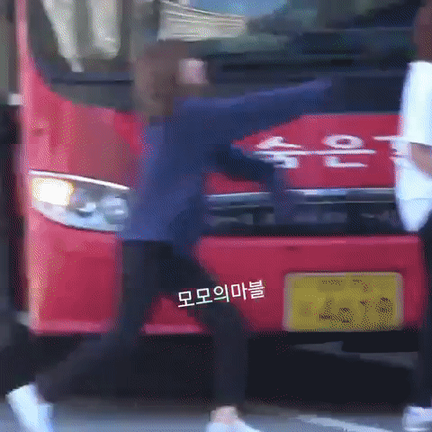모모가 신났을때 하는 행동