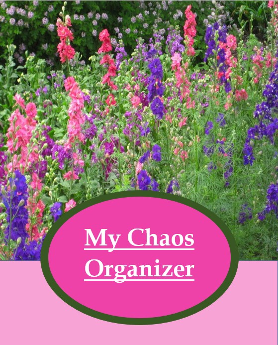 My Chaos Organizer
