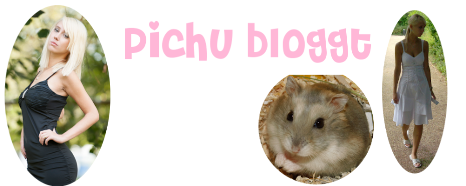 Pichu Bloggt