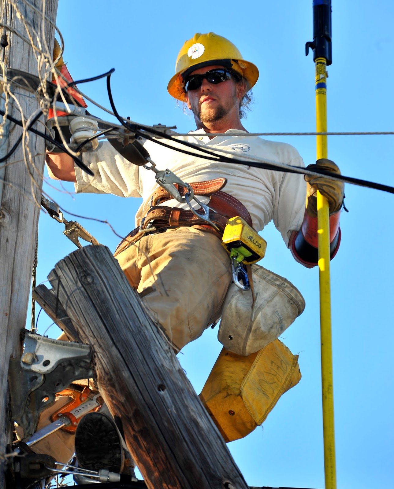Bird on a Wire Thank a Lineman Today