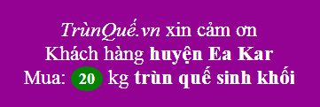 Trùn quế về Ea Kar lần nữa