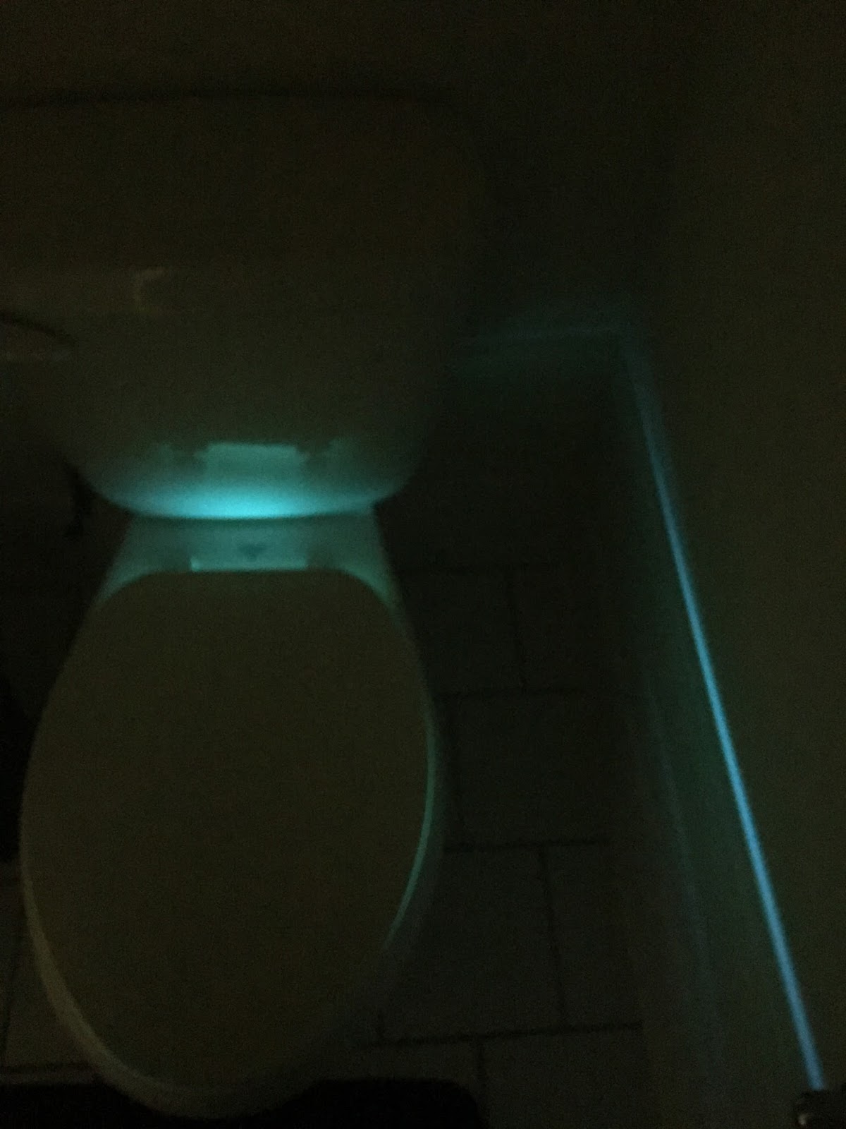 Freebies in Mailbox Forpow UV Toilet Sterilizer Review