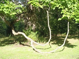 Creating With The J's: September 2012