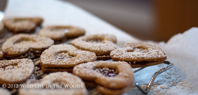 Linzer Cookies: for the Ones who have YOUR heart.