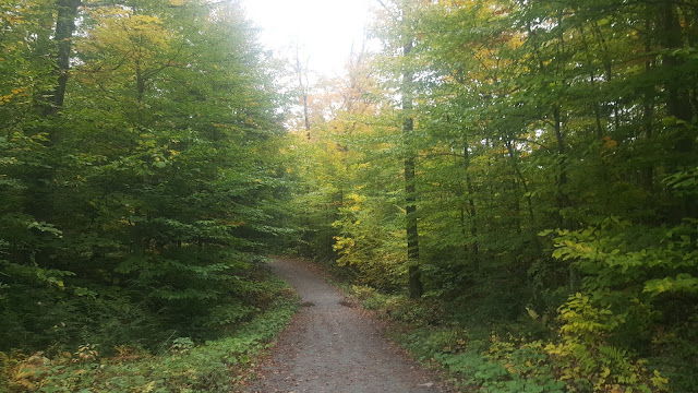 Sentier pédestre menant au mont Chauve
