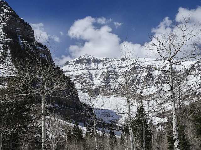 Walking Arizona: Mountain Majesty