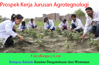8 Prospek Kerja Jurusan Agroteknologi Yang Menjanjikan Fakta Kampus