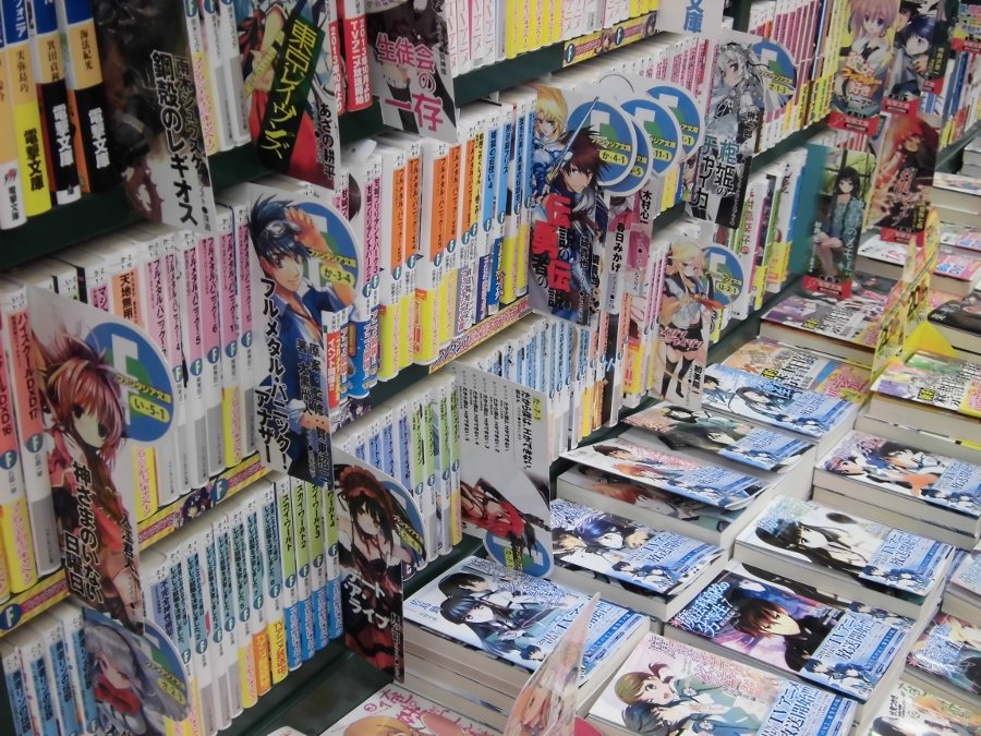 Pengertian Light Novel dan Visual Novel BakaOppai