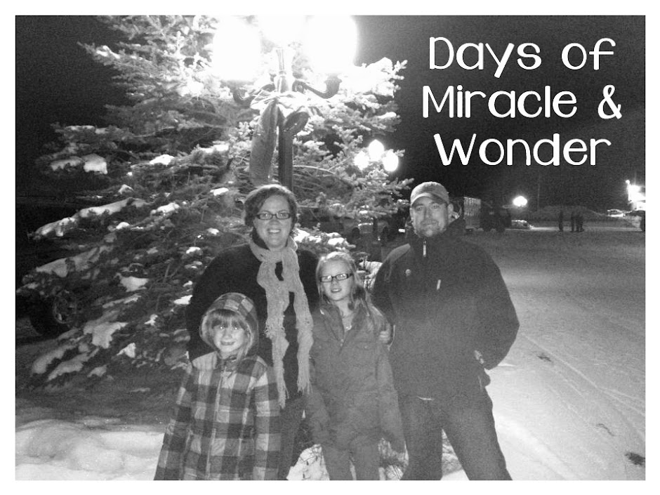 Days of Miracle & Wonder